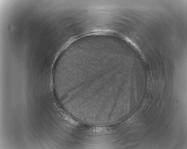 X0000067851362200605041704