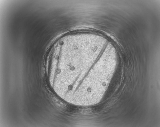 X0000067851363200605041704