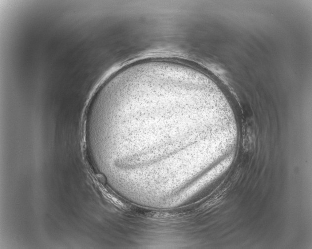 X0000067851366200605041704