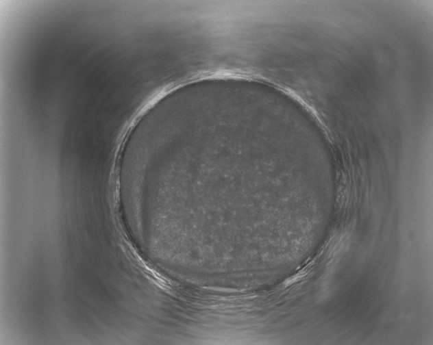 X0000067851367200605041704