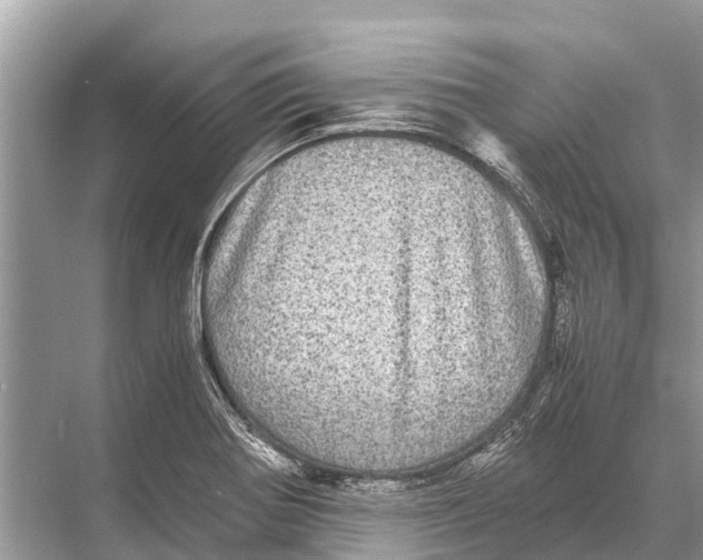 X0000067851370200605041704