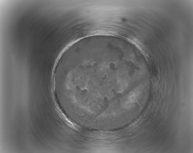 X0000067851371200605041704