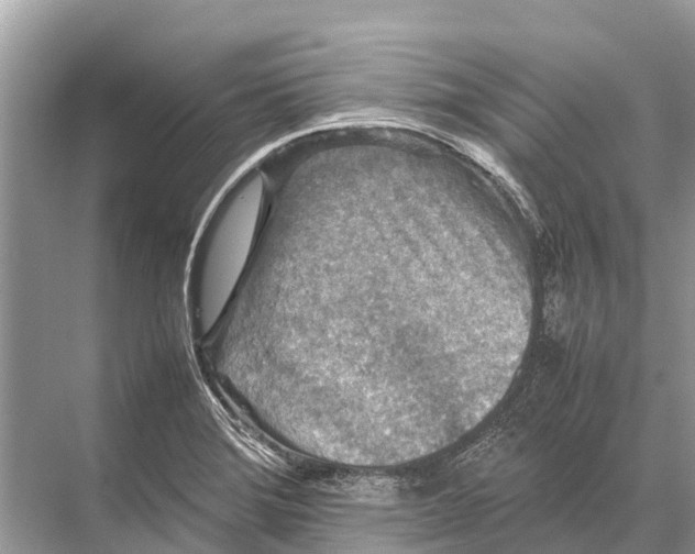 X0000067851372200605041704