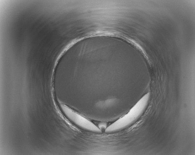 X0000067851373200605041704