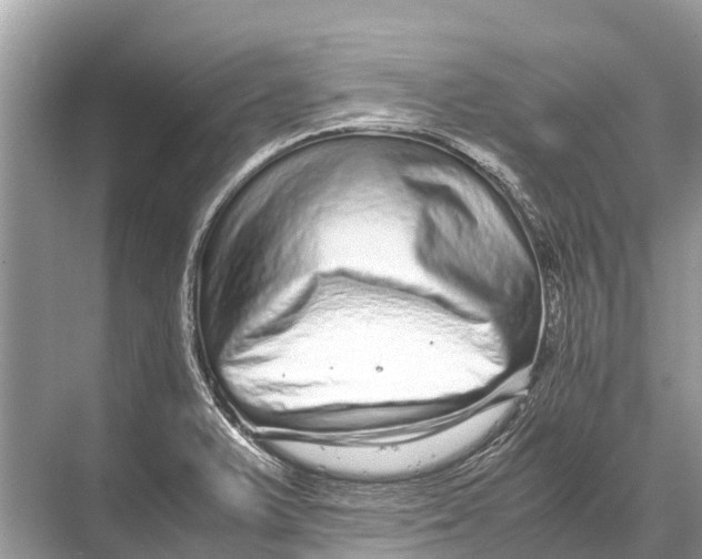 X0000067851375200605041704