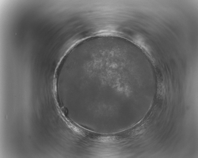 X0000067851376200605041704