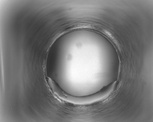 X0000067851377200605041704