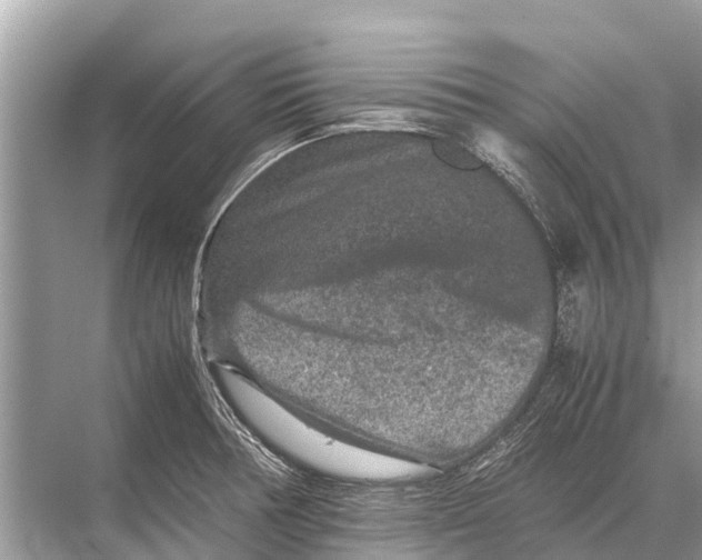 X0000067851378200605041704