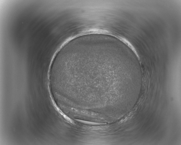 X0000067851381200605041704