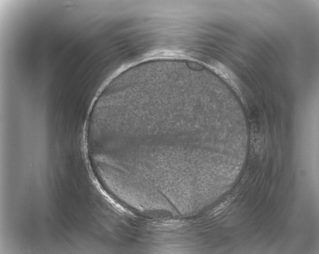 X0000067851382200605041704