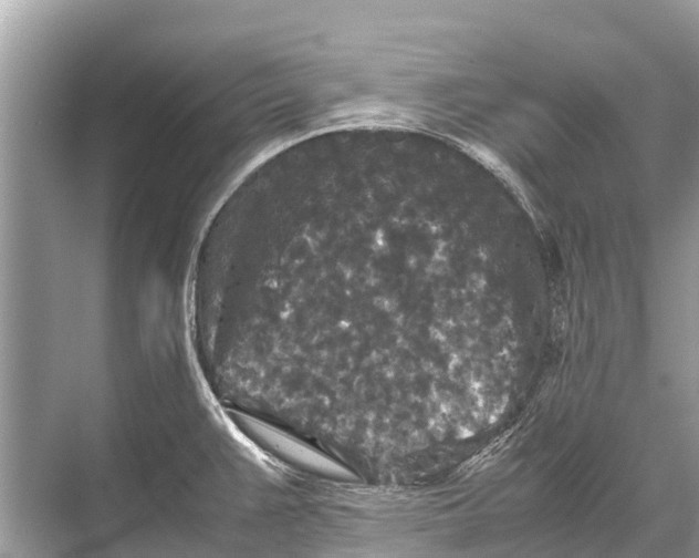 X0000067851383200605041704