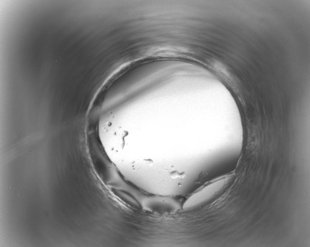 X0000067851384200605041704