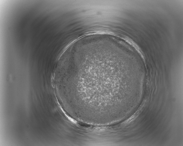 X0000067851385200605041704