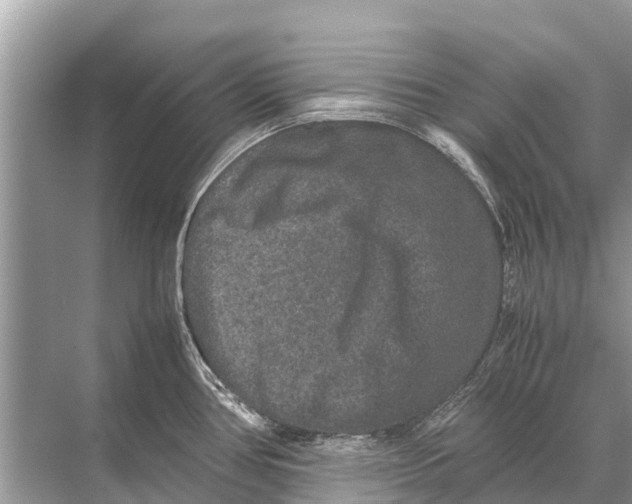 X0000067851386200605041704