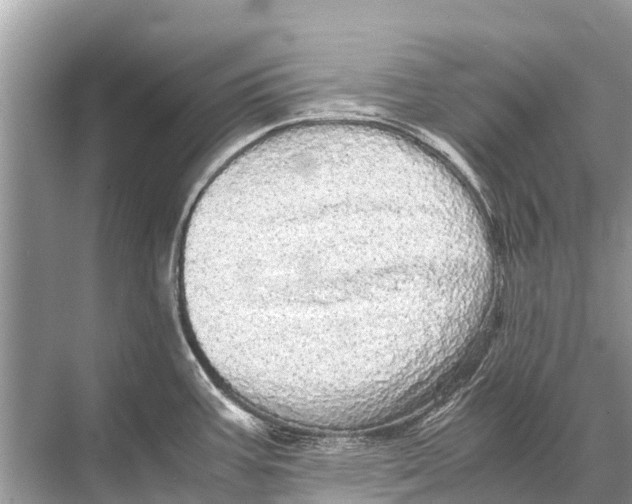 X0000067851387200605041704