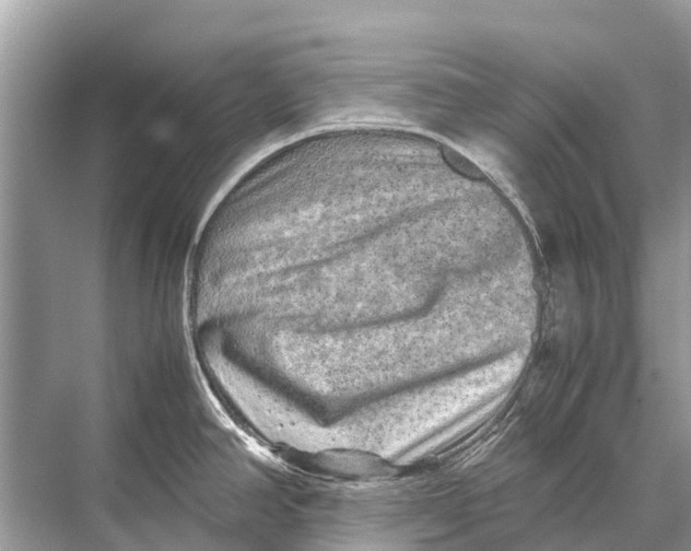 X0000067851390200605041704