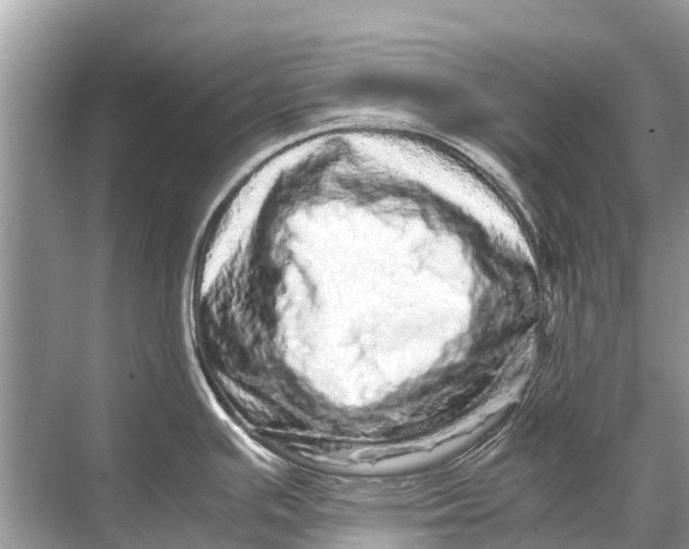 X0000067851391200605041704