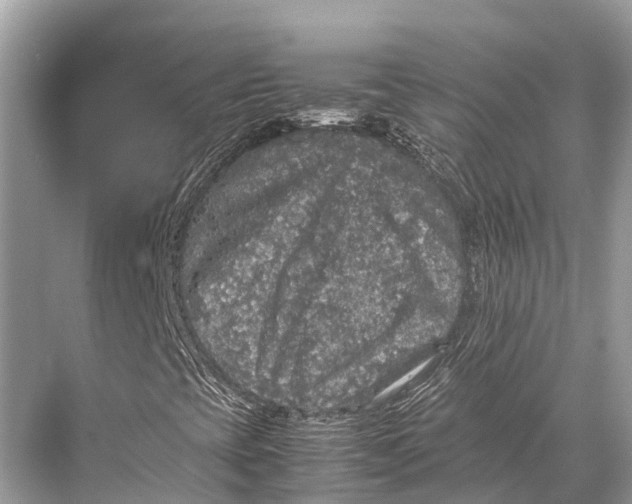 X0000067851393200605041703