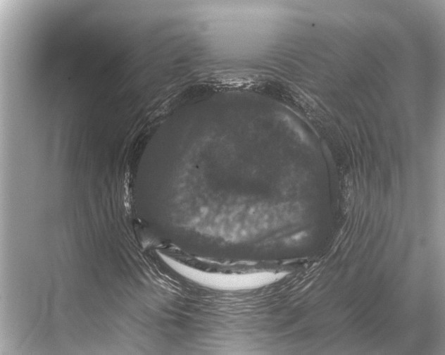 X0000067851394200605041703