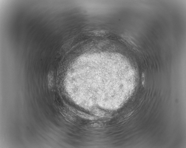 X0000067851395200605041703