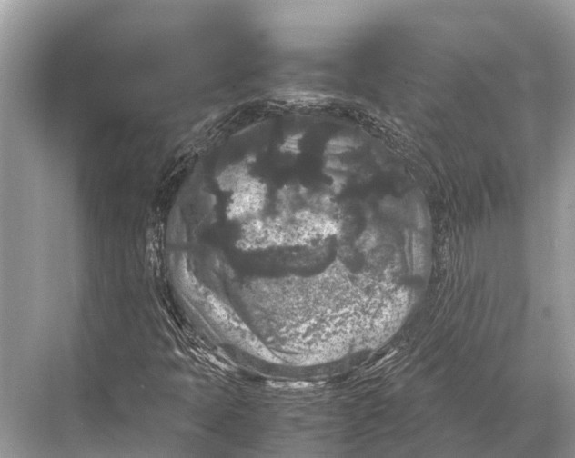 X0000067851397200605041703