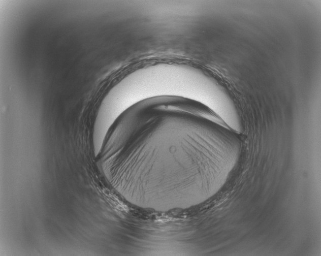 X0000067851398200605041703