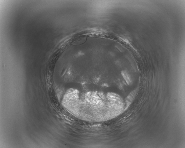 X0000067851399200605041703