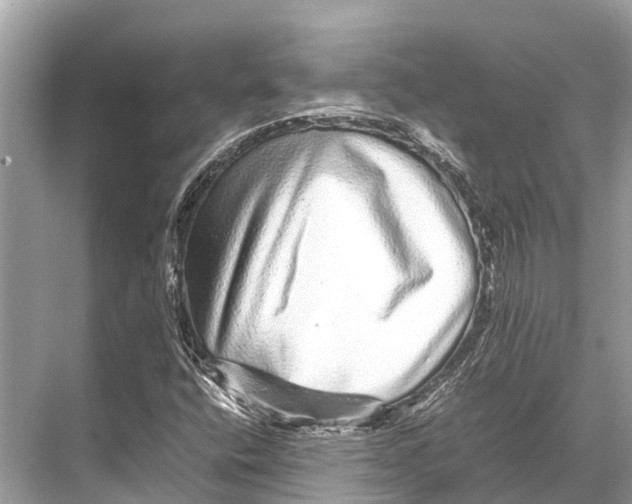 X0000067851400200605041703