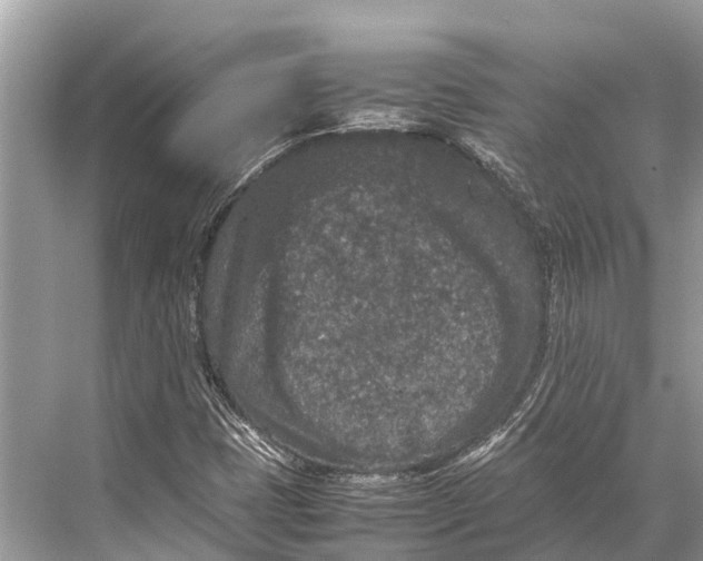 X0000067851401200605041703