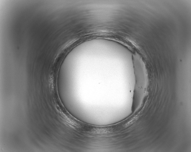 X0000067851402200605041703