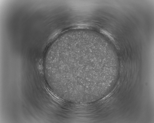 X0000067851403200605041703