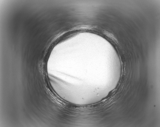 X0000067851404200605041703