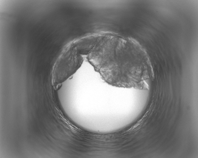 X0000067851405200605041703