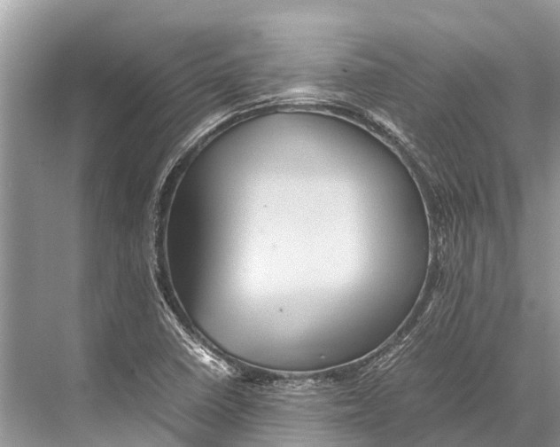 X0000067851410200605041703