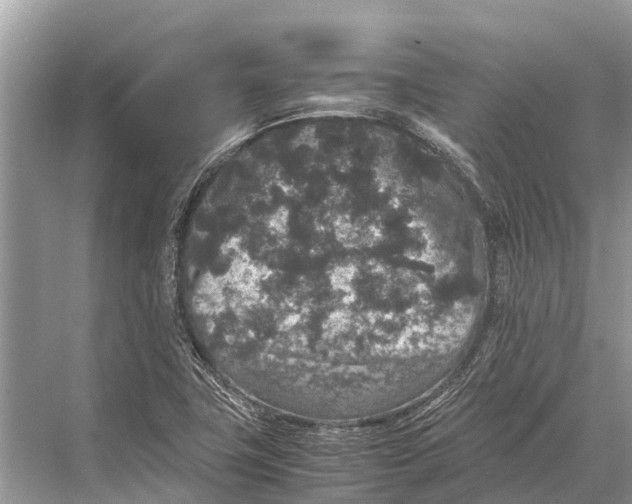 X0000067851411200605041703