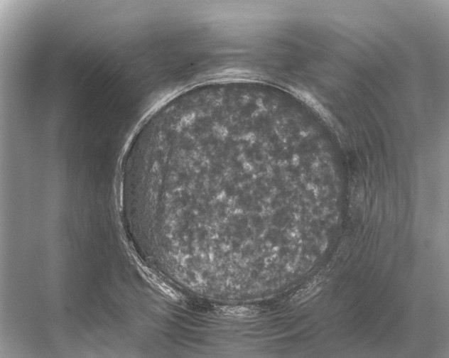 X0000067851413200605041703