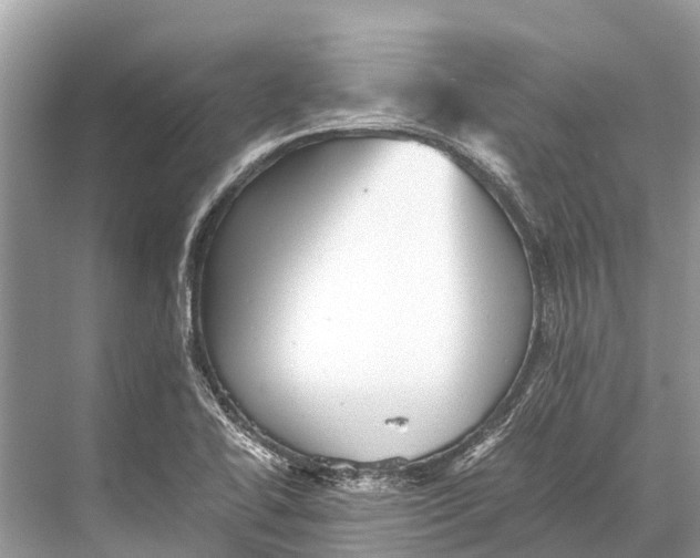 X0000067851414200605041703