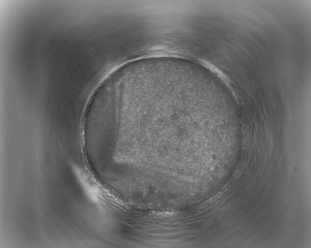 X0000067851415200605041703