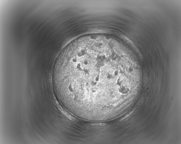 X0000067851417200605041703