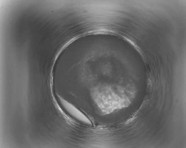 X0000067851418200605041703