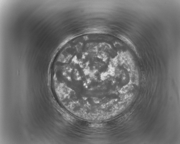 X0000067851419200605041703