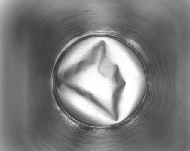 X0000067851420200605041703