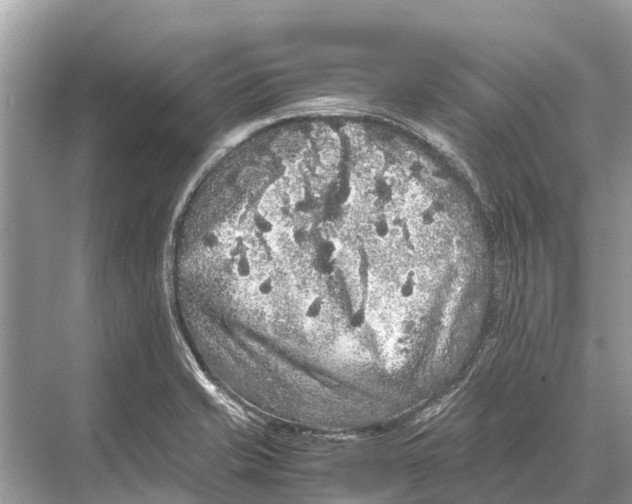 X0000067851421200605041703