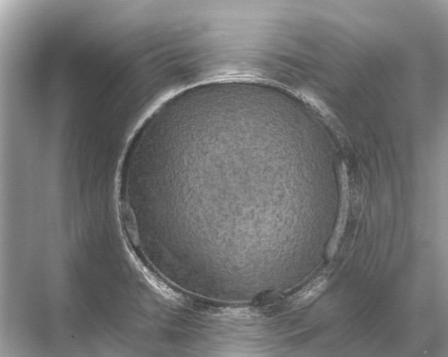 X0000067851422200605041703