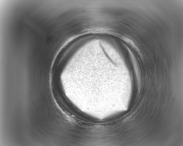 X0000067851424200605041703