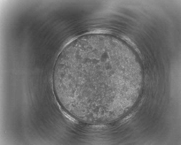 X0000067851425200605041703