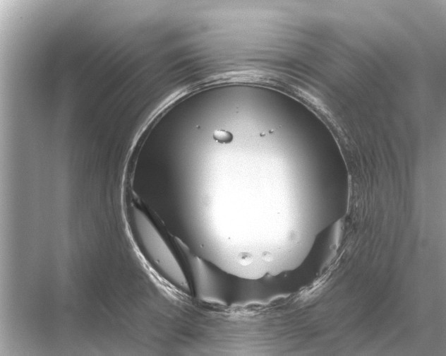 X0000067851426200605041703