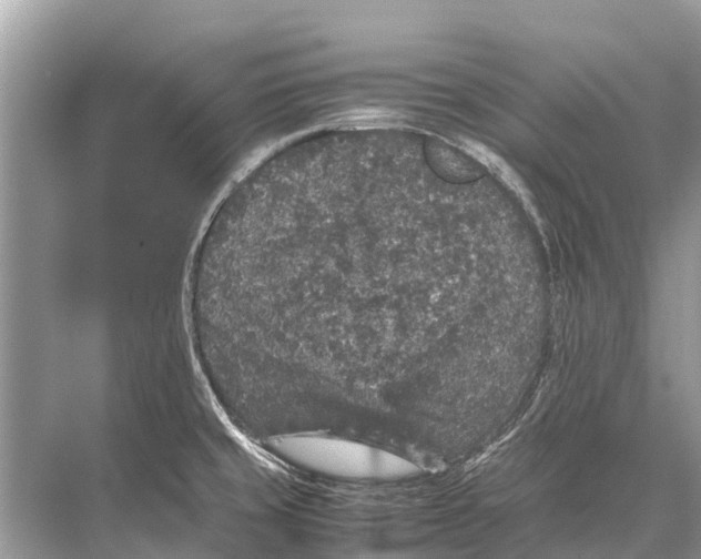 X0000067851429200605041704