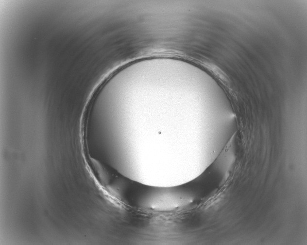 X0000067851430200605041704