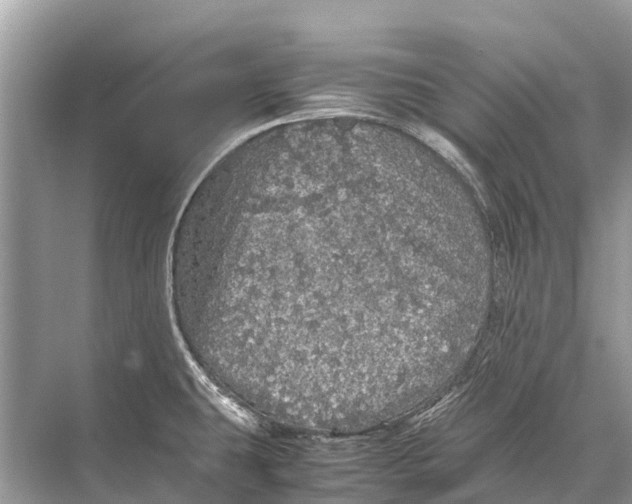 X0000067851431200605041704